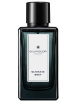 GalvanoLiori Туалетная вода мужская Signature Ultimate Grey 100мл