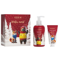 Подарочный набор №2 Winter mood Имбирь и корица (Крем для рук 50мл + Жидкое мыло 245мл)
